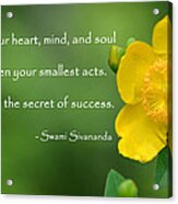 Yellow Flower With Success Quote Acrylic Print
