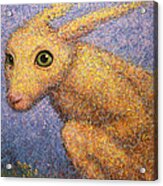 Yellow Rabbit Acrylic Print
