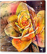 Yellow Rose Of Texas Acrylic Print
