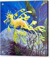 Yellow Seadragon Acrylic Print