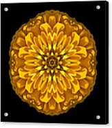 Yellow Zinnia Elegans Flower Mandala Acrylic Print