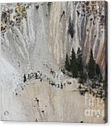 Yellowstone National Park Acrylic Print