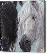 Yin-yang Horses Acrylic Print