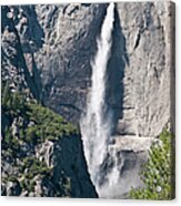 Yosemite Falls, Yosemite National Park Acrylic Print