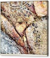 You Have A Heart Of Stone Acrylic Print