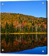 Zealand Pond Reflections Acrylic Print