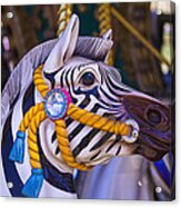 Zebra Carrousel Ride Acrylic Print