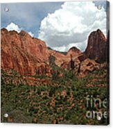 512p Zion Area Acrylic Print