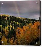 Autumn Rainbow Acrylic Print