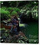 An Aussie Billabong #1 Acrylic Print