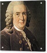 Carl Linnaeus, Swedish Botanist #1 Acrylic Print
