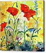 Poppies Provencale Acrylic Print