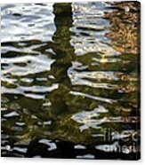 Reflections #1 Acrylic Print