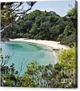 Whale Bay In New Zealand #1 Acrylic Print