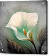 White Lily #2 Acrylic Print