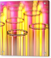Laboratory Test Tubes In Science Research Lab Acrylic Print