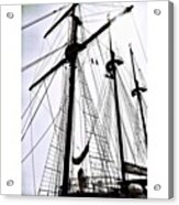 'the Peacemaker': Built In Brazil In #2 Acrylic Print