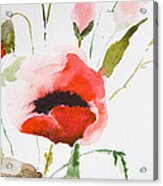 Watercolor Poppy Flower  #2 Acrylic Print
