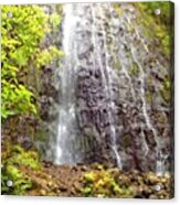 #palmtree #paradise #picoftheday #maui #20 Acrylic Print