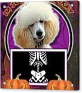 I'm Just A Lil' Spooky Poodle #4 Acrylic Print