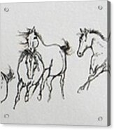 4 Wild Horses Acrylic Print