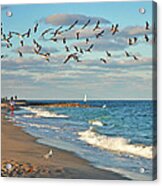 5- Singer Island 8x 10 Acrylic Print