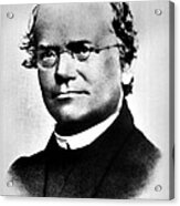Gregor Mendel, Father Of Genetics #7 Acrylic Print
