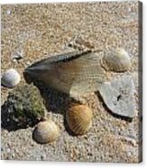 A Collection Of Beach Nature Acrylic Print