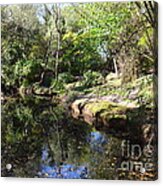 A River In The Wilderness Acrylic Print