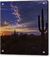 A Saguaro Sunset Acrylic Print