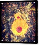 #abstract#flowers#art Acrylic Print