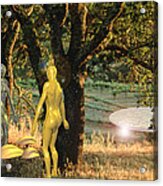 Adam And Eve Acrylic Print