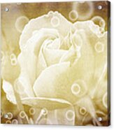 Antiqued Rose And Bubbles Acrylic Print