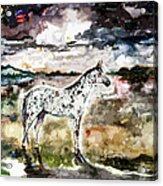 Appaloosa Spirit Horse Painting Acrylic Print
