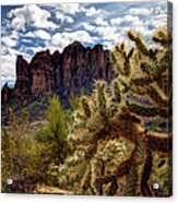 Arizona Landscape Acrylic Print
