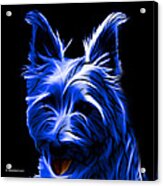 Australian Terrier Pop Art - Blue Acrylic Print