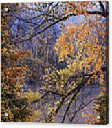 Autumn And The River Acrylic Print