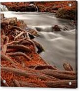 Autumn By The River Acrylic Print