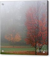 Autumn Fog Acrylic Print