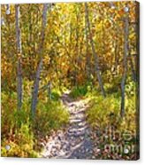 Autumn Trail Acrylic Print