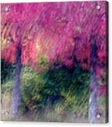 Autumn Trees Acrylic Print