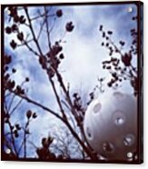 #ball #tree #sky #spring #outdoor Acrylic Print