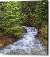 Banff Spring Creek Flow Acrylic Print
