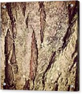 Bark Acrylic Print