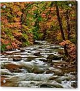 Bash Bish Falls River Acrylic Print