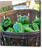 Basket Of Green Peppers Acrylic Print