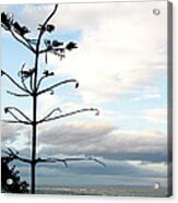 Beach View Acrylic Print