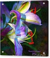 Beautiful Bloomers Acrylic Print