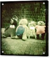 #berlin #teddy #bear #bär #igersberlin Acrylic Print