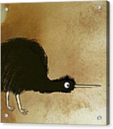 Black Kiwi Acrylic Print